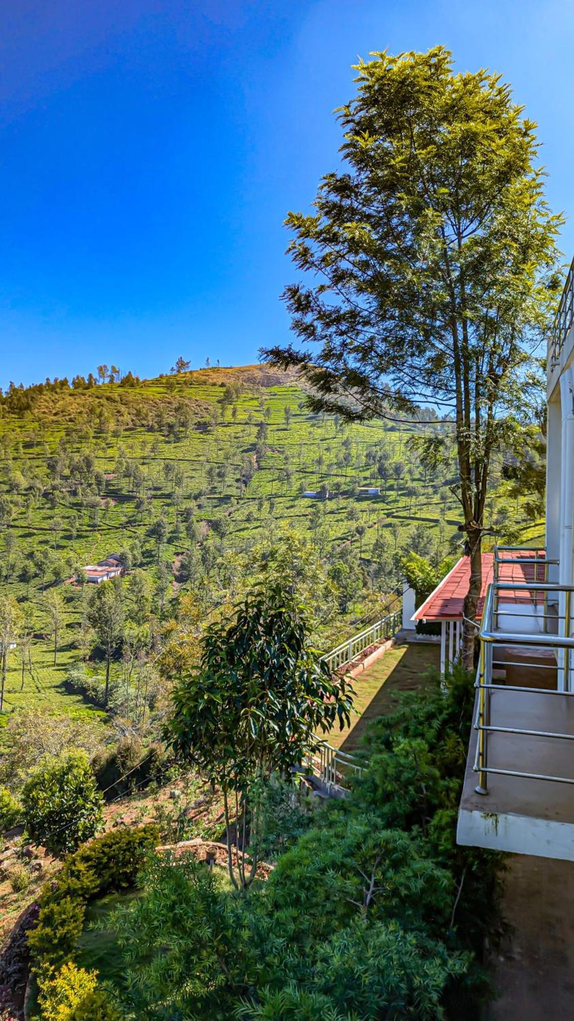 Valley View Inn, Kotagiri Værelse billede